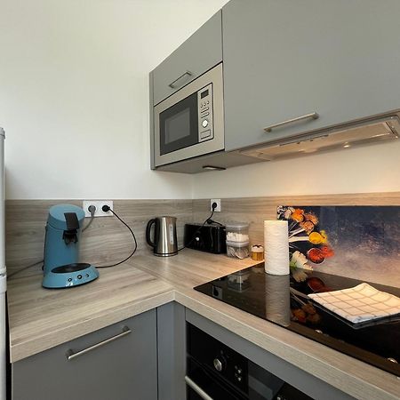 Bel appartement, rez-de-chaussée, parking gratuit Chablis Exterior foto